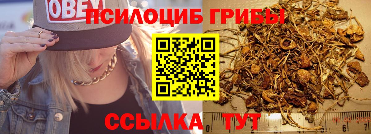 Волжский  Псилоцибиновые грибы GOLDEN TEACHER  купить наркотик  Вход с VPN 