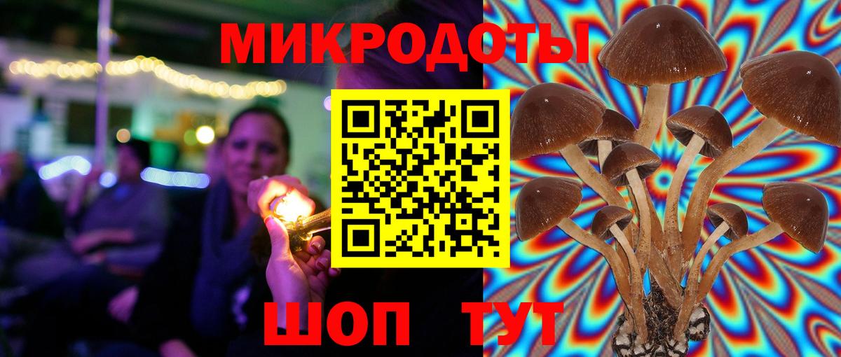 Псилоцибиновые грибы MAGIC MUSHROOMS Волжский